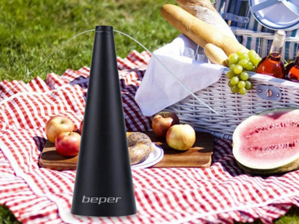 Scène de pique-nique : ventilateur à mouches noir, pommes, pastèque, pain, raisins et un panier de pique-nique sur une couverture à carreaux rouges et blancs.