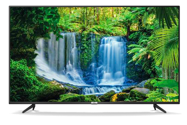 TCL 55P615 55