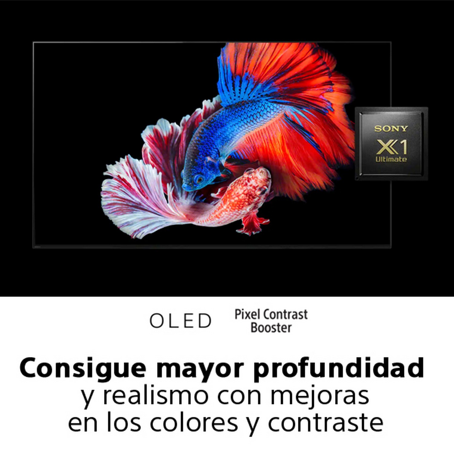 TV OLED 65" - Sony KE65A8BAEP, UHD4K, X1 Ultimate, Acoustic Surface Audio, Smart Tv(Android TV), HDR, Negro