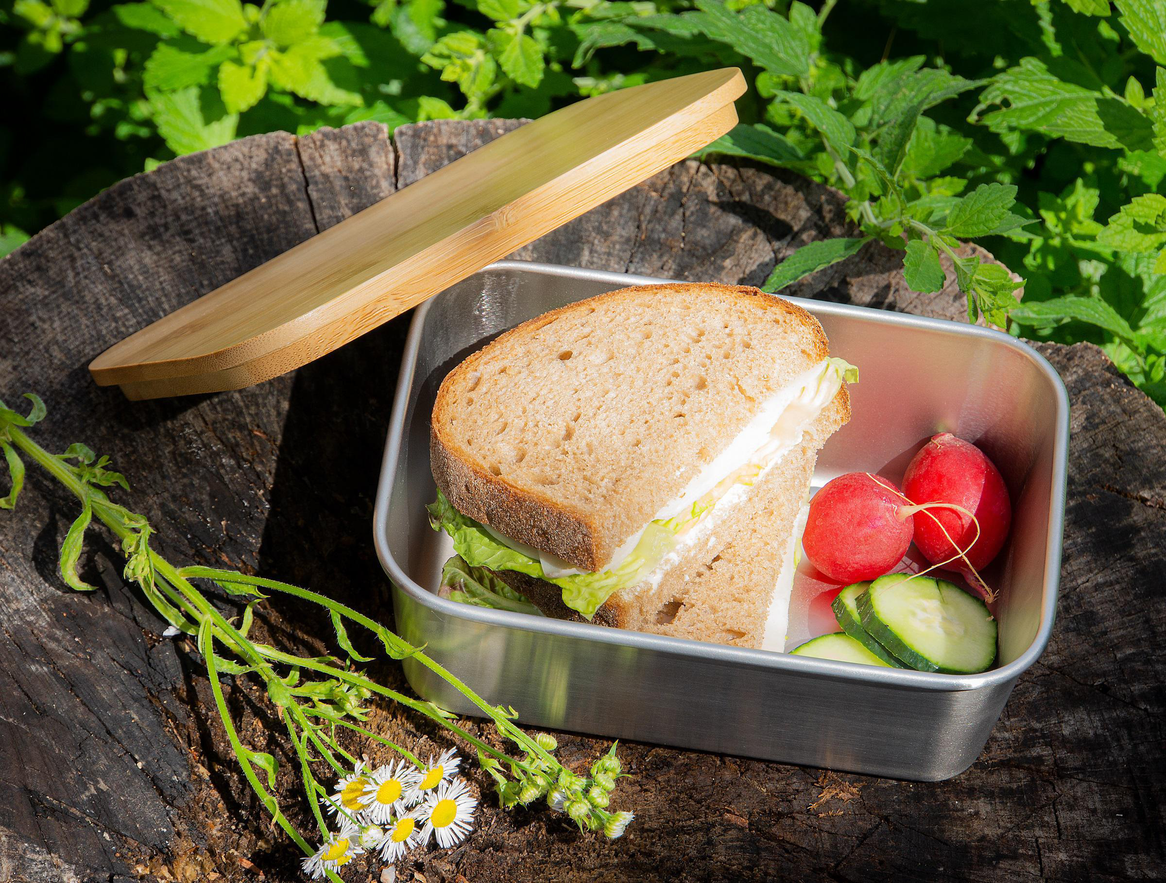 ECHTWERK EW-LB-1710 Lunchbox Silber