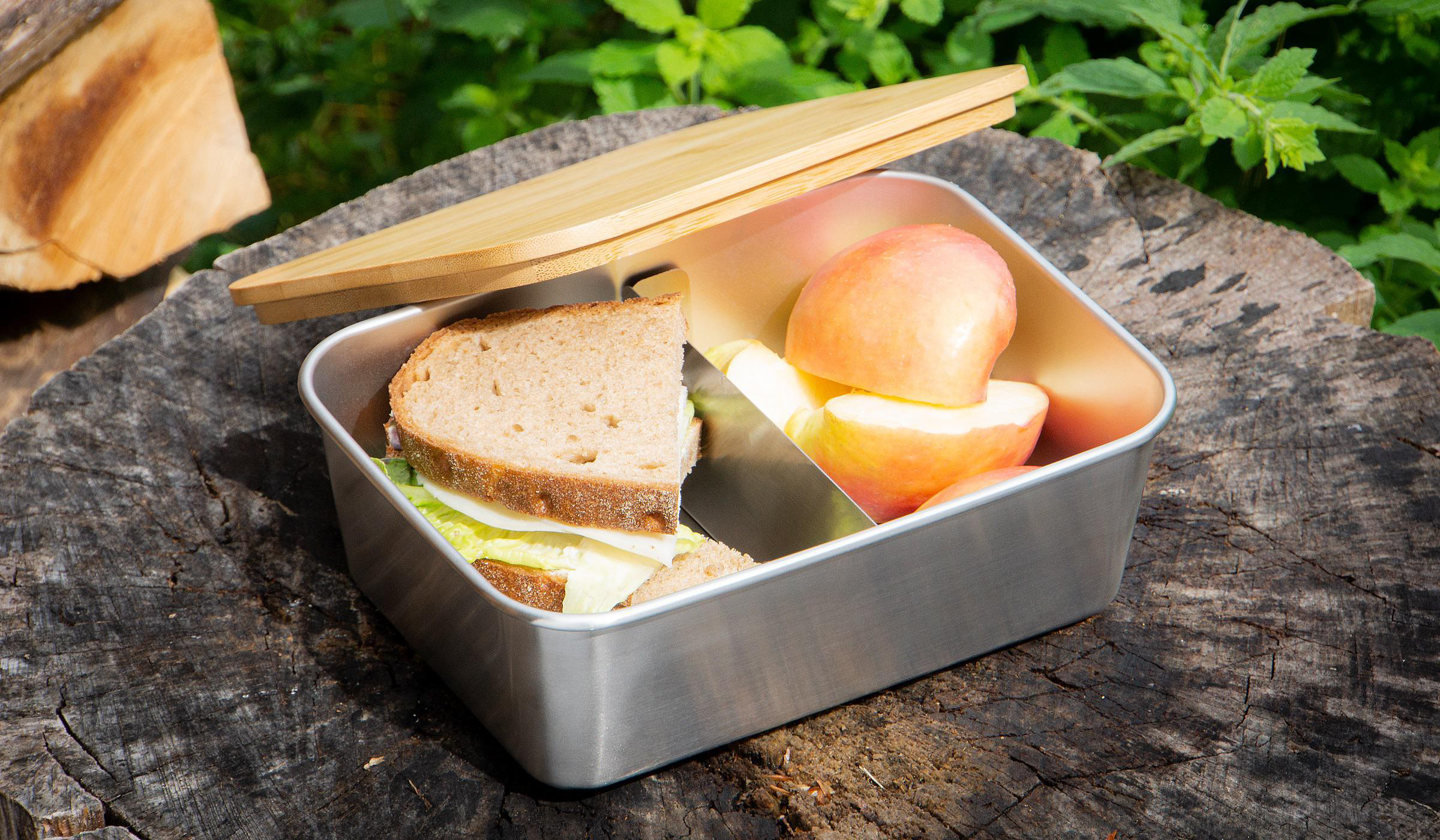 ECHTWERK EW-LB-1720 Lunchbox Silber