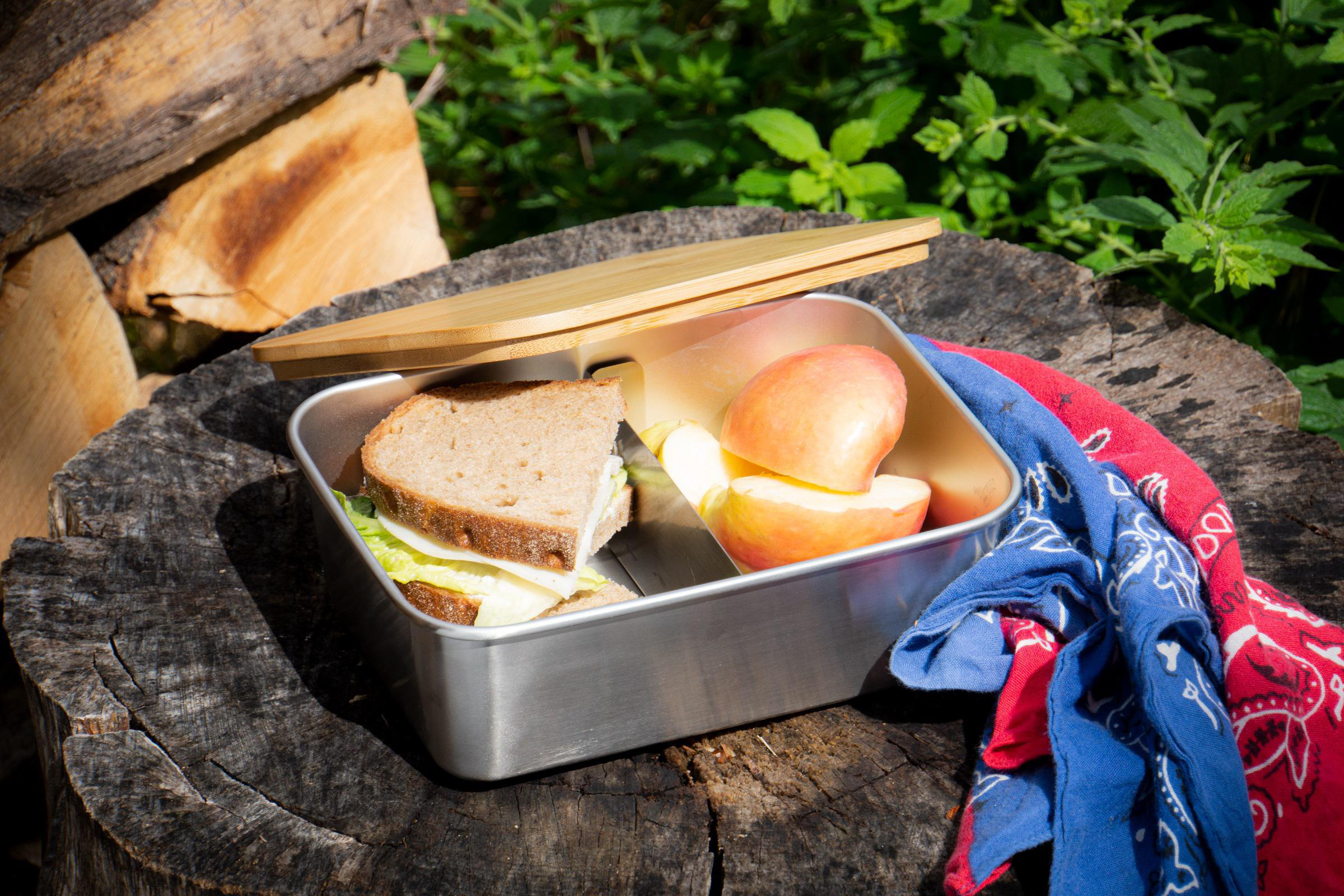ECHTWERK EW-LB-1720 Lunchbox Silber