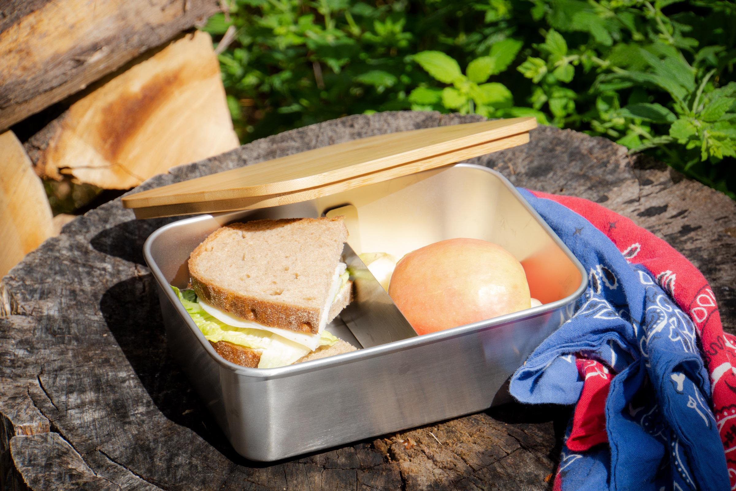 ECHTWERK EW-LB-1720 Lunchbox Silber
