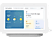 GOOGLE Nest Hub 2nd Gen + Mini Rock Anthracite (GA01892-FR?BDL2)