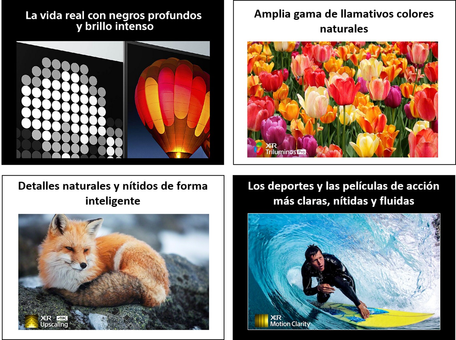 Un collage de imágenes con texto sobre la calidad de la pantalla, incluyendo colores vibrantes, detalles y claridad de acción.