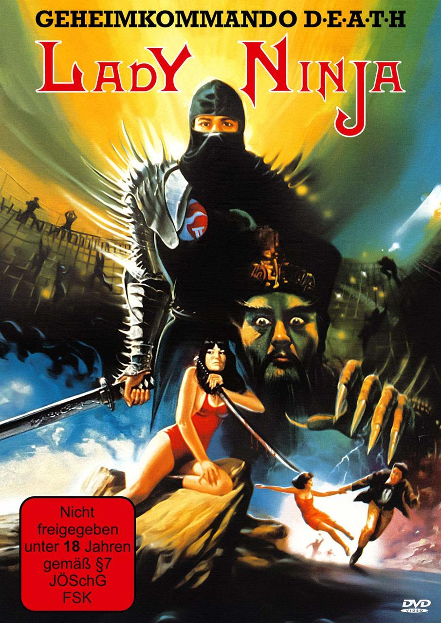 DVD-Cover von 'Lady Ninja'. Ein Ninja blickt zum Betrachter, andere Figuren im Hintergrund.