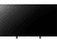 PANASONIC TX-55JXW944 - TV (55 ", UHD 4K, LCD)