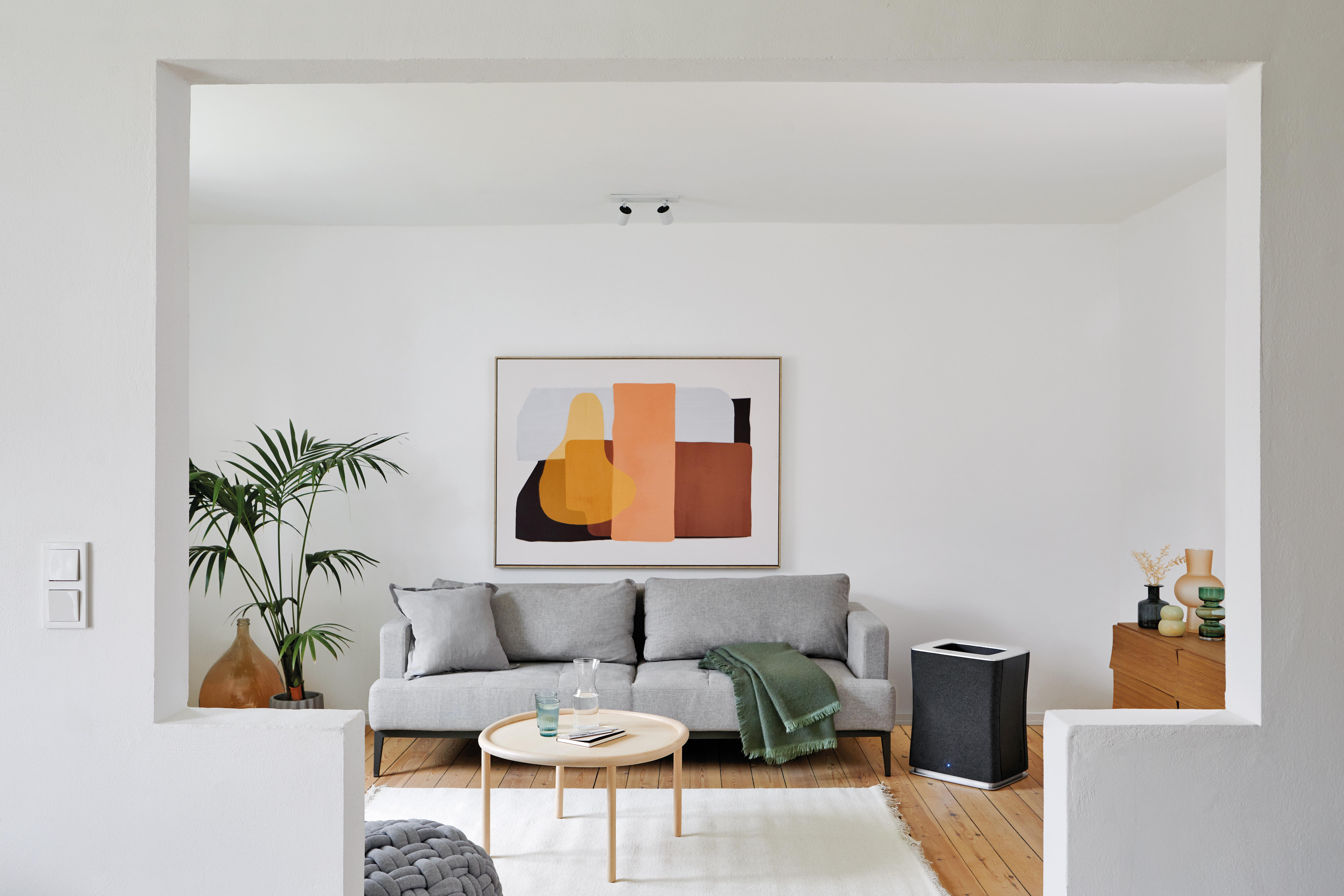 Wohnzimmer mit grauem Sofa, Kunst und Couchtisch. Links eine Pflanze und eine Lichtanlage.