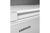 LIEBHERR CFf 2080-20