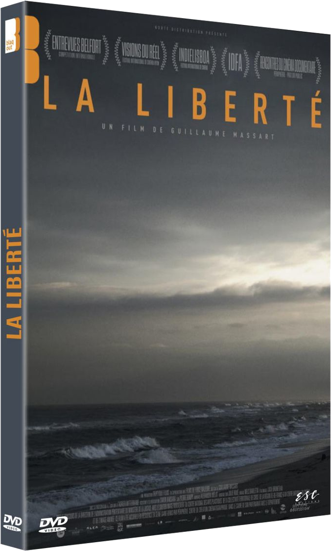 Une pochette de DVD avec une scène de bord de mer sombre et mélancolique. Comprend le titre du film et des récompenses.