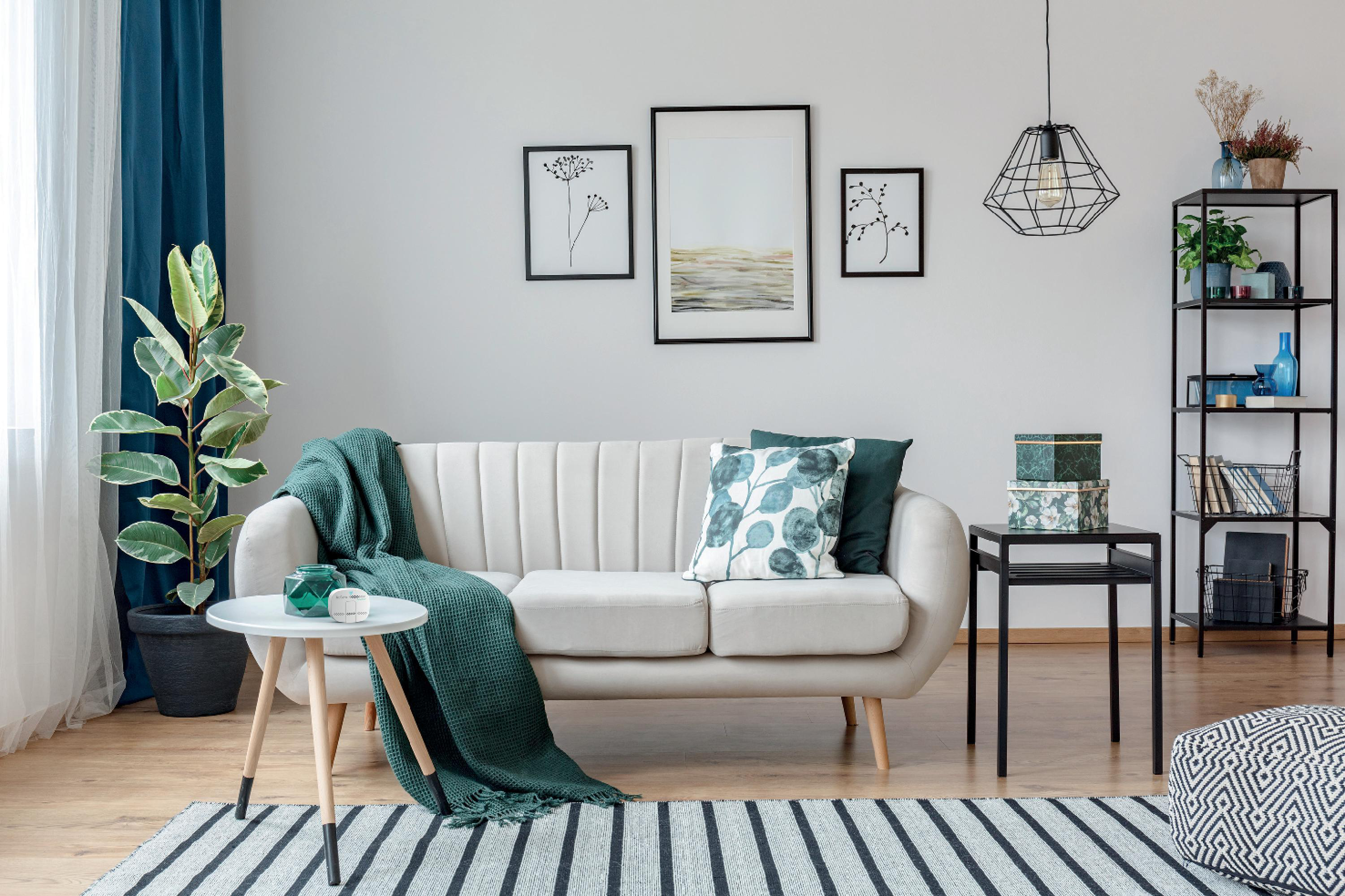 Ein Wohnzimmer mit Sofa, Bildern, Pflanzen und Teppich. Der Raum hat eine gemütliche Atmosphäre.