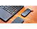 SANDISK Portable - Disque dur (SSD, 480 GB, Gris/Orange)