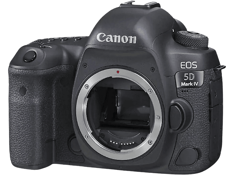 Cámara réflex Canon EOS 250D + 18-55IS STM Pack - Cámaras Fotos Réflex -  Compra al mejor precio