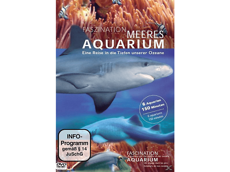 Faszination Meeres Aquarium DVD