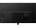 PANASONIC TX-65JZC1004 - TV (65 ", UHD 4K, OLED)