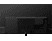 PANASONIC TX-55JZC1004 - TV (55 ", UHD 4K, OLED)