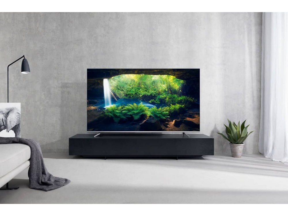 Un gran televisor muestra una escena de la jungla. Está sobre un soporte negro, contra una pared gris.