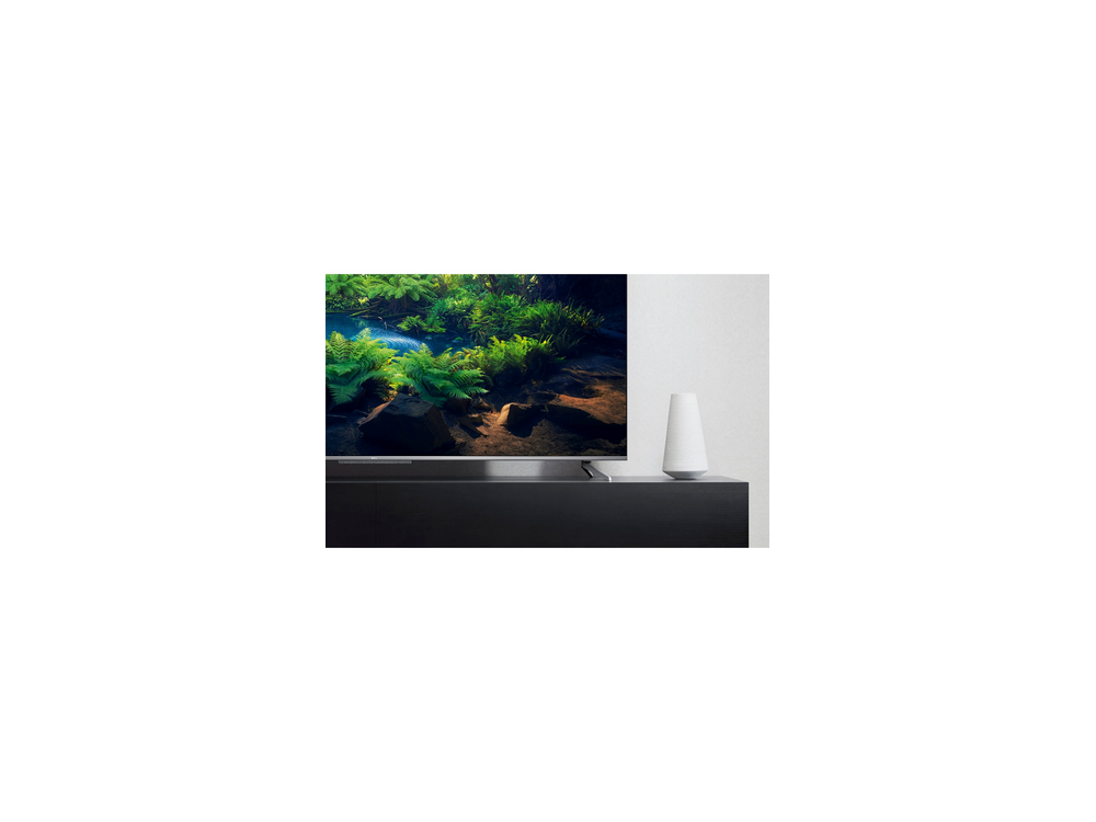 Una pantalla de televisión muestra una escena submarina vibrante con plantas y rocas.