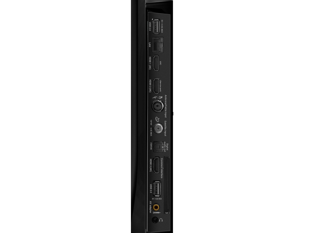 Panel trasero de un dispositivo con varios puertos: USB, HDMI, LAN y entradas de audio.