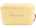 POLISUR Polarbox Retro - Glacière (20 l)