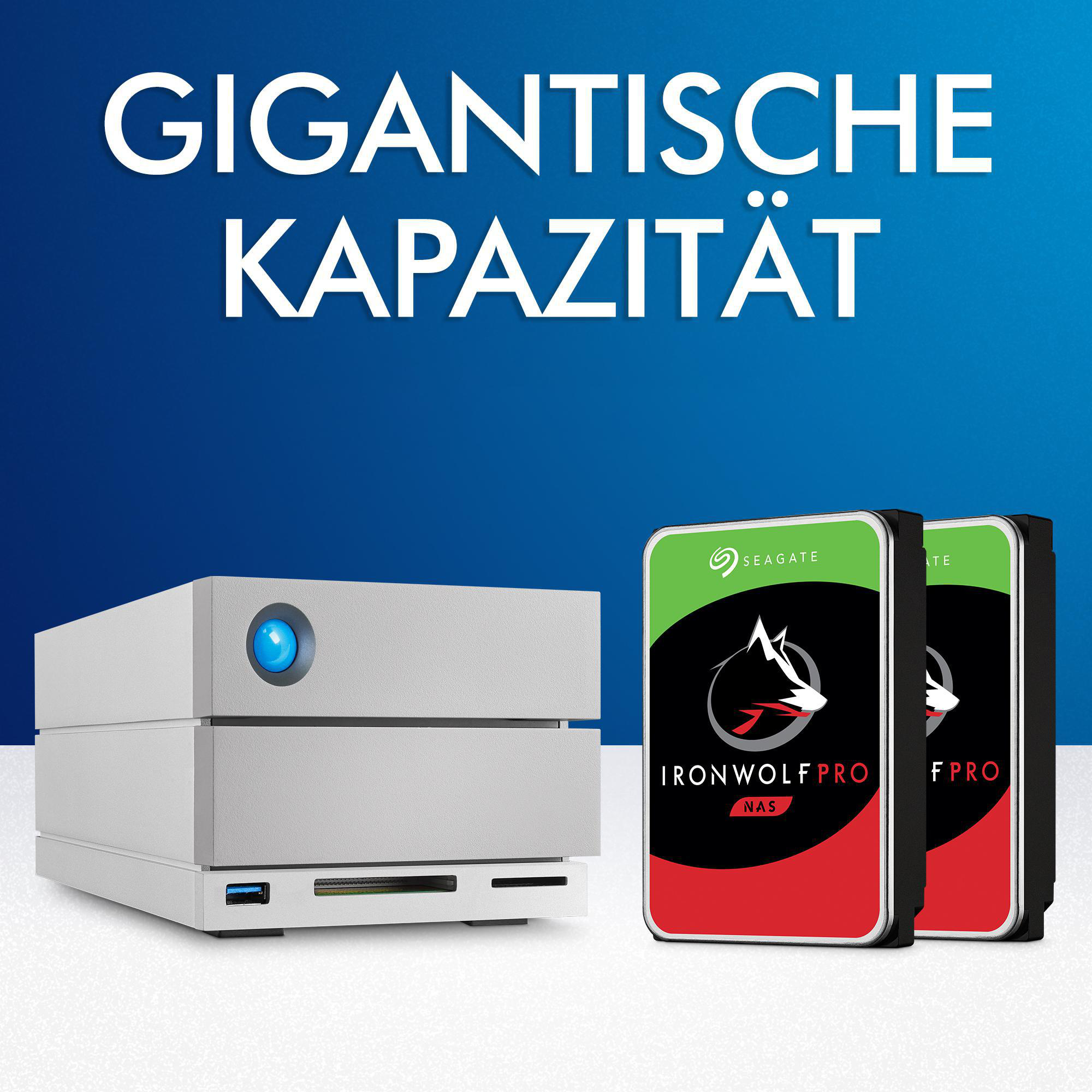 LACIE 2big Dock Thunderbolt 3 Festplatte, 20 TB HDD, extern, Silber