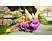 Switch - Spyro: Reignited Trilogy /D
