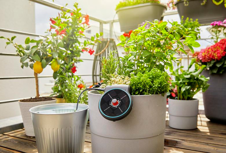 Ein Balkon mit Pflanzen in Töpfen. Es gibt Blumen, einen Zitronenbaum und ein intelligentes Bewässerungssystem.