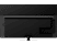PANASONIC TX-55JZC984 - TV (55 ", UHD 4K, OLED)