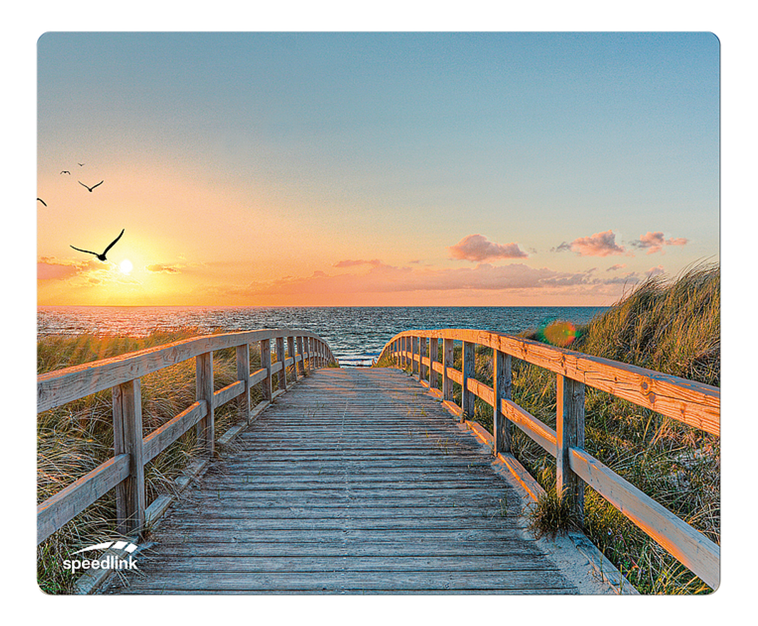Eine Holzbrücke führt bei Sonnenuntergang zum Meer. Vögel fliegen über dem Wasser.