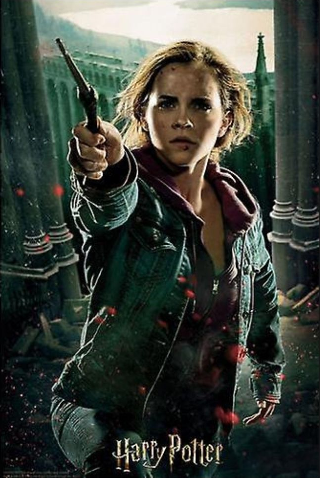 PRIME 3D Harry Potter : Hermione Granger en bataille - 3D - Puzzle lenticulaire (Multicolore)