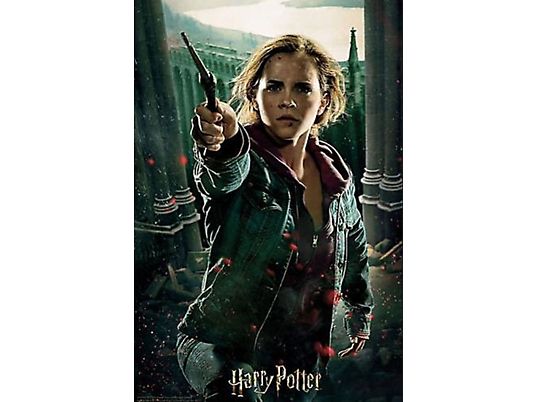 PRIME 3D Harry Potter: Hermine Granger im Kampf - 3D - Linsenpuzzle (Mehrfarbig)