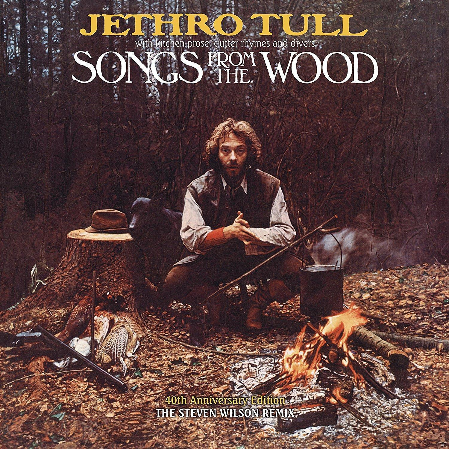 Albumcover, Mann am Lagerfeuer, Jethro Tull, Songs from the Wood.