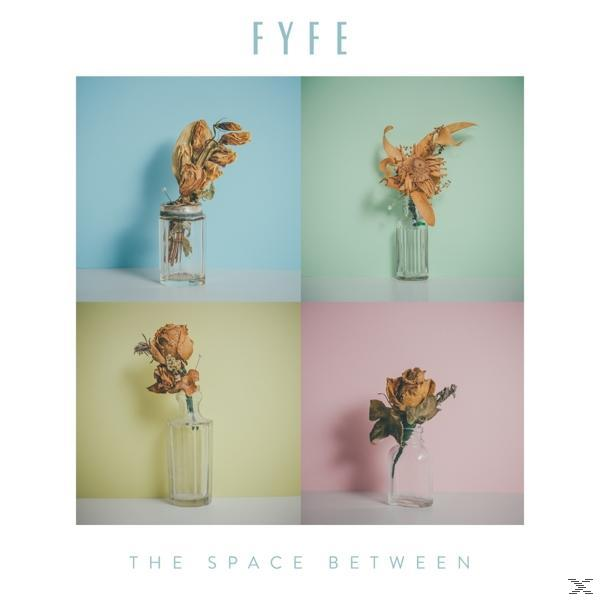 Albumcover. FYFE, The Space Between. Vier Fotos von getrockneten Blumen in Vasen, verschiedene farbige Hintergründe.