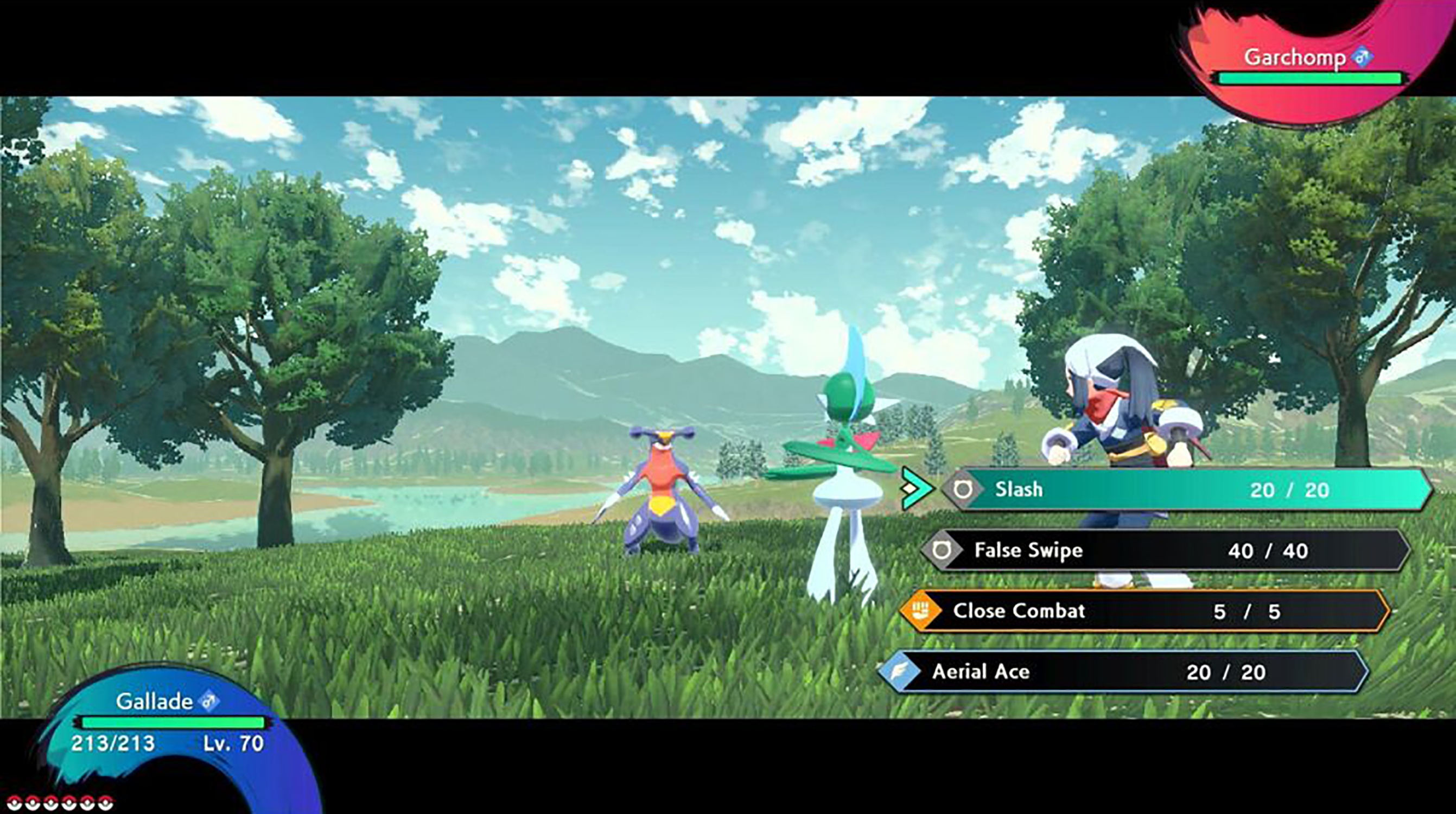 Pokemon gevechtsscène. Twee Pokemon tegenover elkaar. Groen veld en blauwe lucht op de achtergrond.