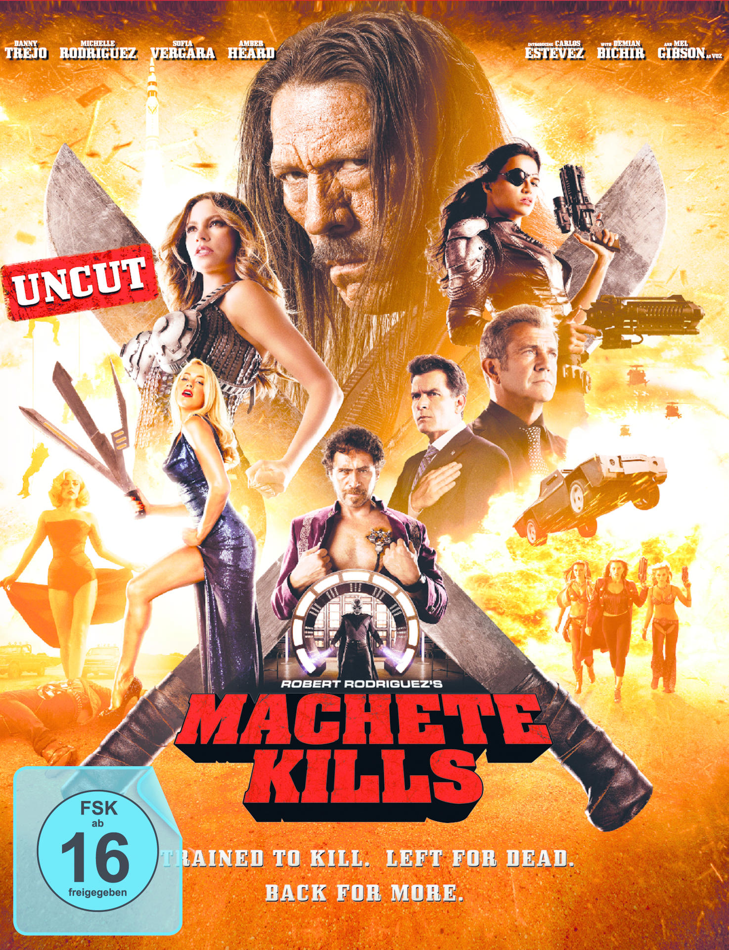 DVD-Cover mit mehreren Personen, Filmtitel: Machete Kills. Gewalt- und Actionfilm.