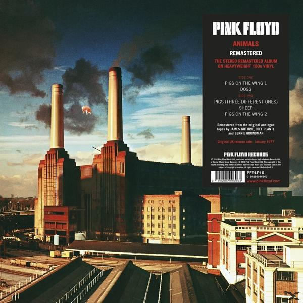 Pink Floyd albumhoes met een fabriek en een varken in de lucht.