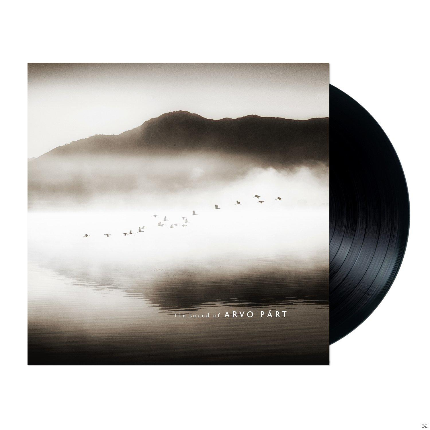 Fekete bakelit lemez Arvo Pärt albumborítóval, köddel, hegyekkel és madarakkal.
