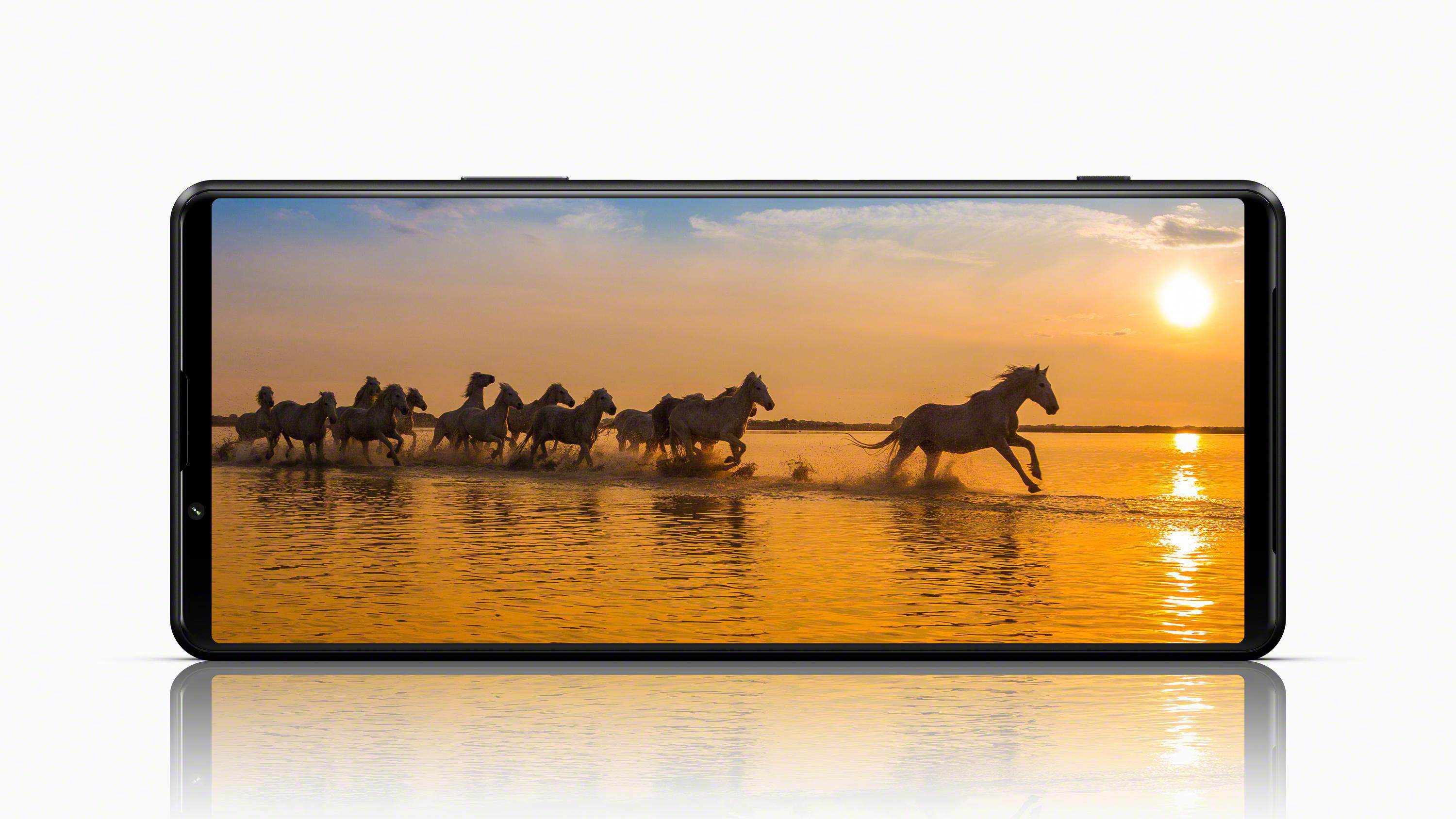 Ein Telefonbildschirm zeigt Pferde, die bei Sonnenuntergang durch Wasser laufen.