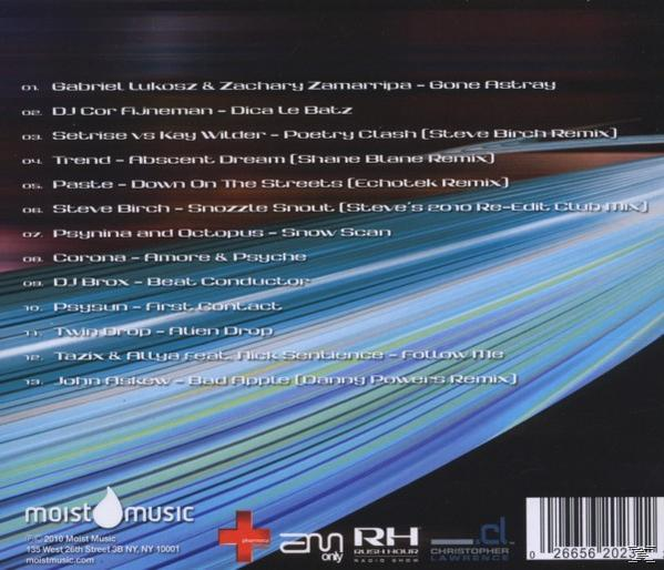 CD-Compilation-Rückseite mit Titelliste. Verschiedene Künstler. Text ist blau und weiß. Moist Music Label.