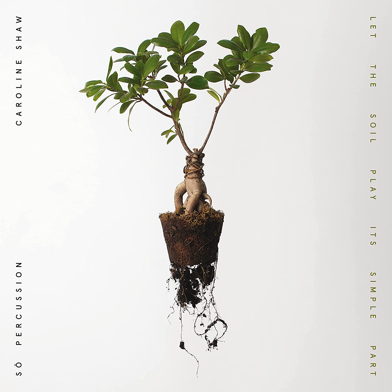 Bonsai fa szabad gyökerekkel, fehér háttér, körben szöveg.