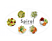 MAGIMIX Salad Expert - Kit
