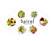 MAGIMIX Salad Expert - Trousse