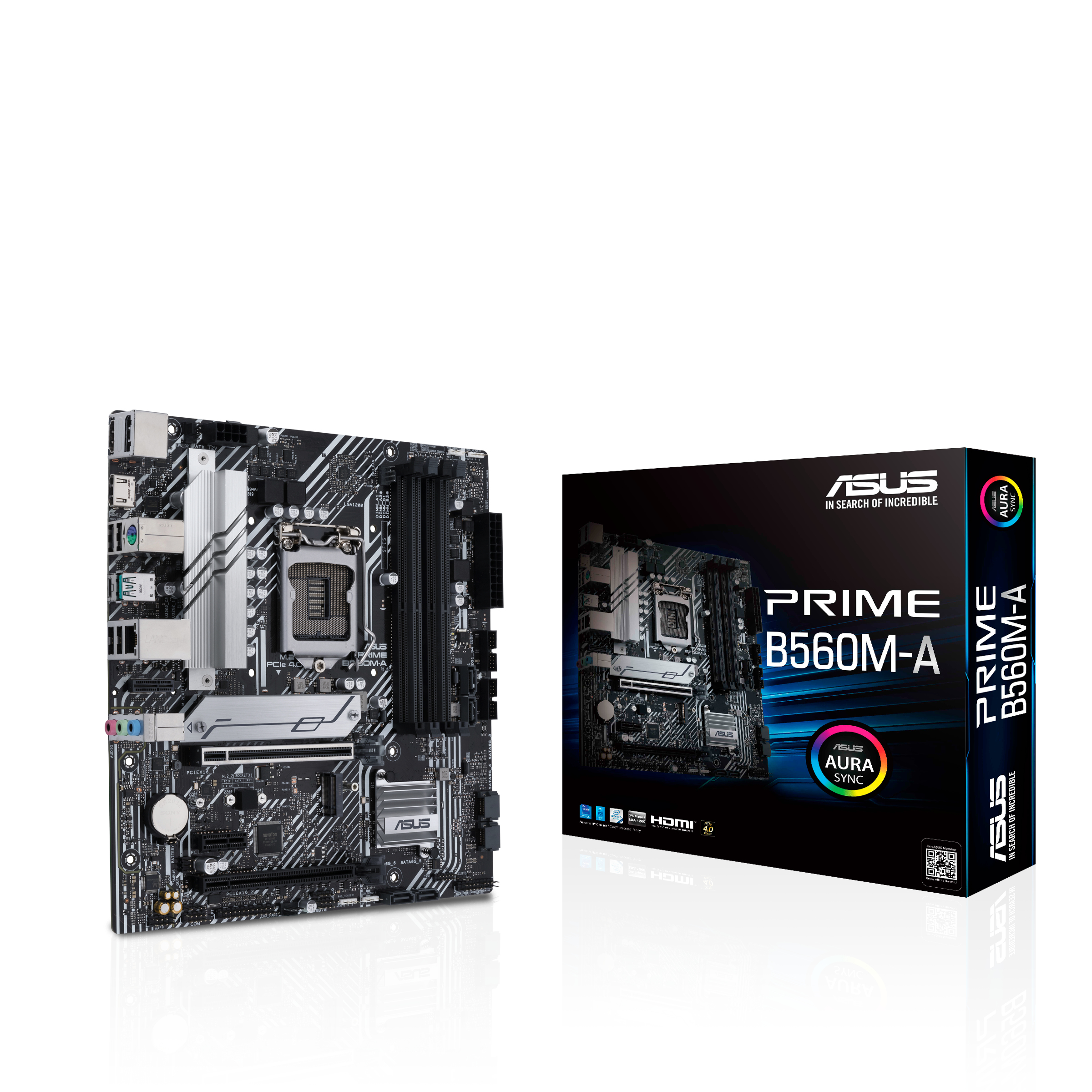 ASUS PRIME B560M-A Mainboard Schwarz