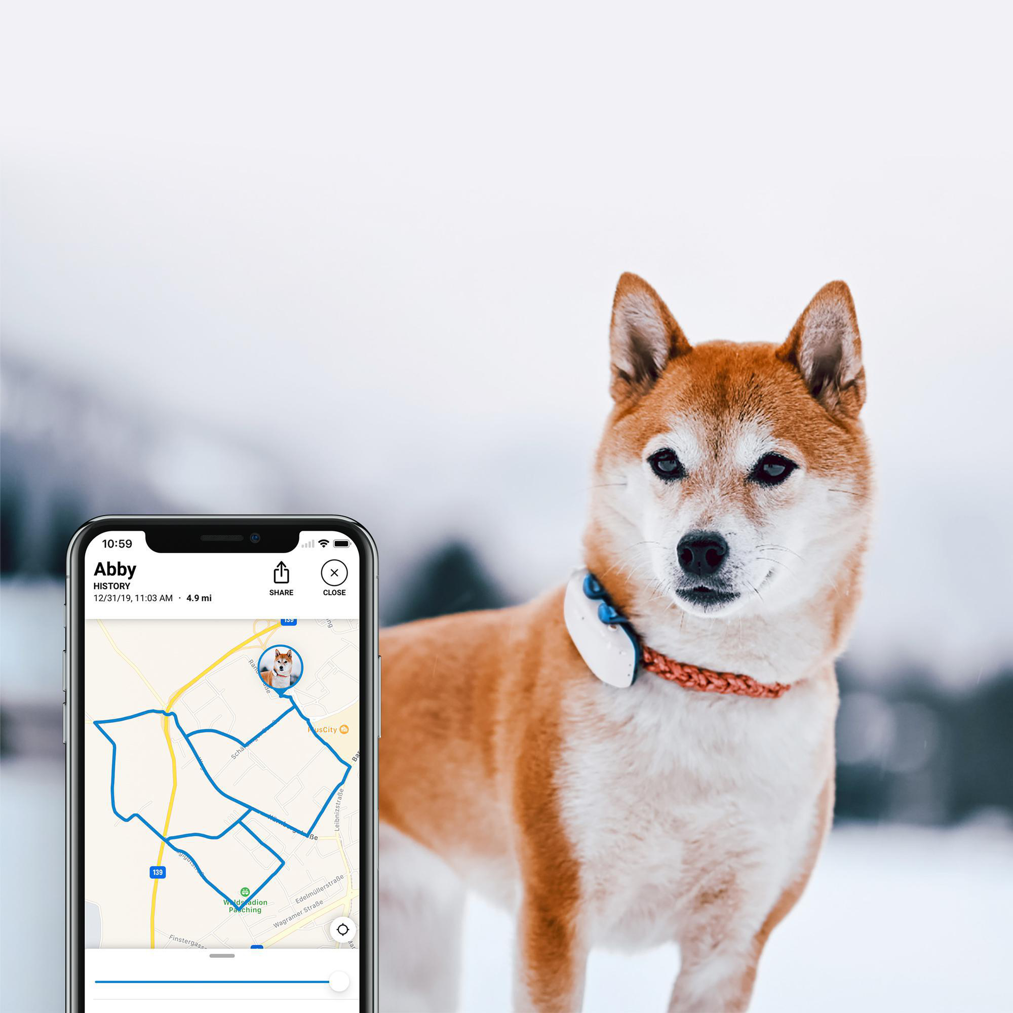 TRACTIVE DOG 4 GPS Tracker für Hunde Navigationsgerät für Hunde