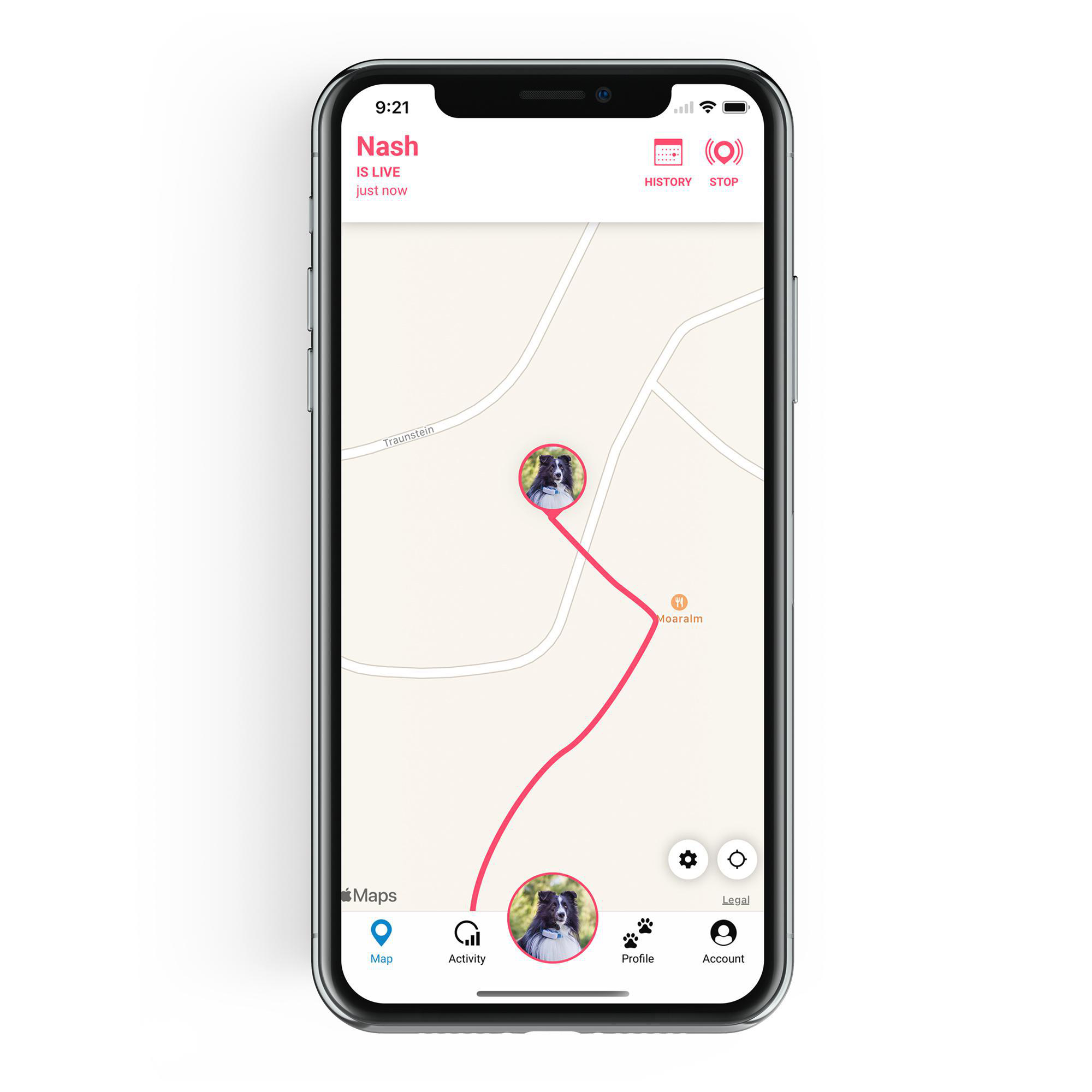 TRACTIVE DOG 4 GPS Tracker für Hunde Navigationsgerät für Hunde