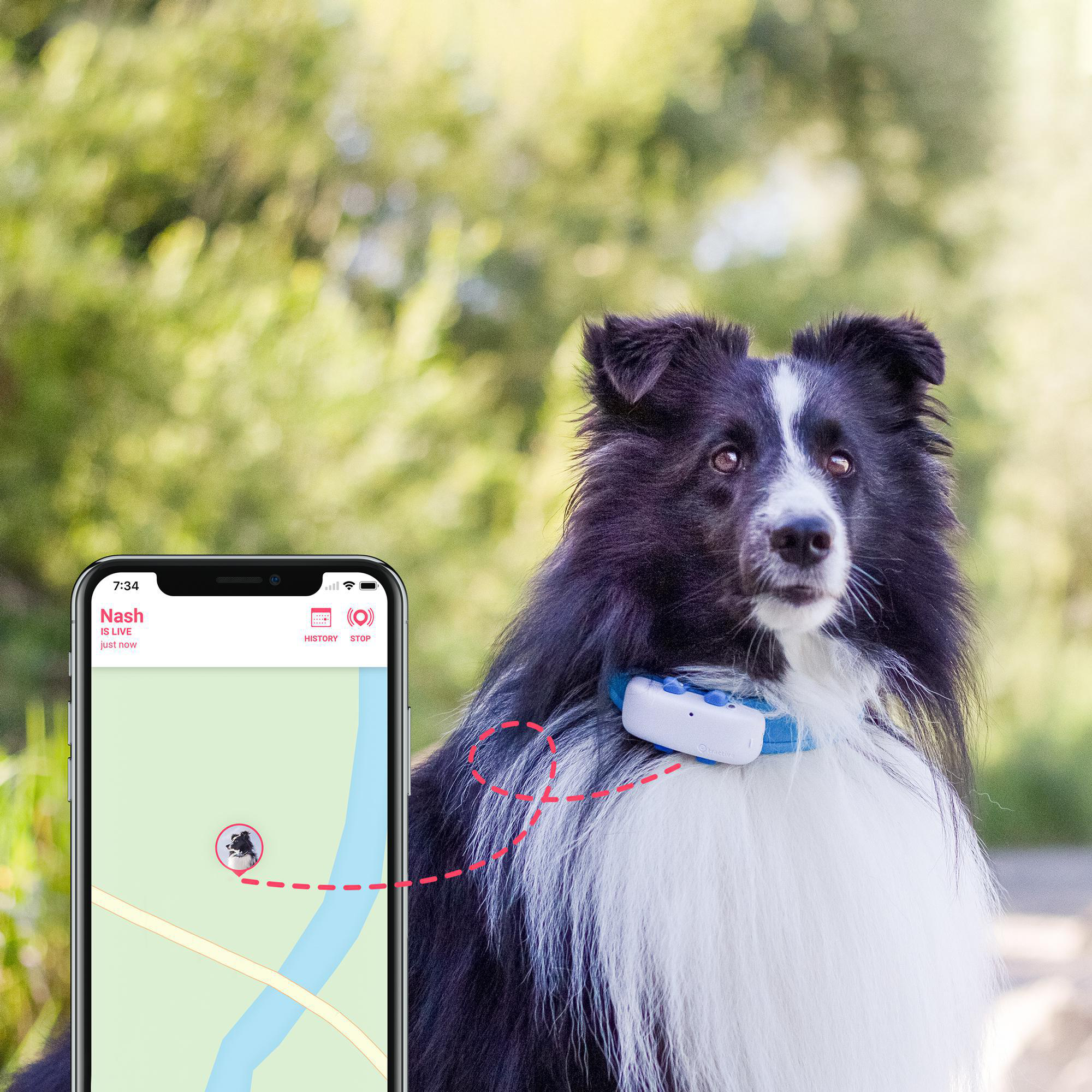 TRACTIVE DOG 4 GPS Tracker für Hunde Navigationsgerät für Hunde