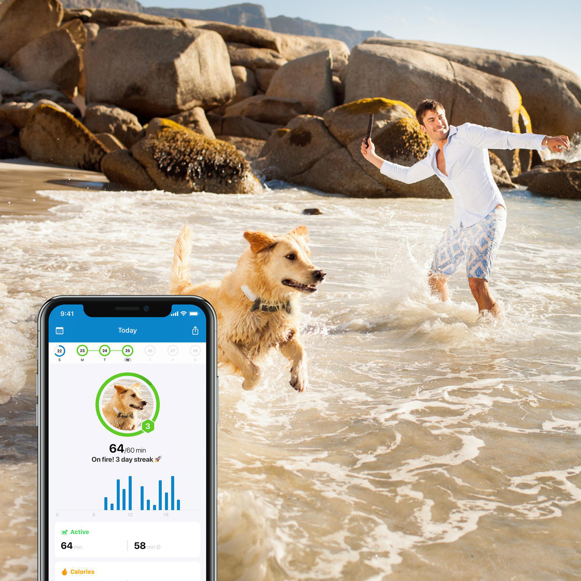 TRACTIVE DOG 4 GPS Tracker für Hunde Navigationsgerät für Hunde