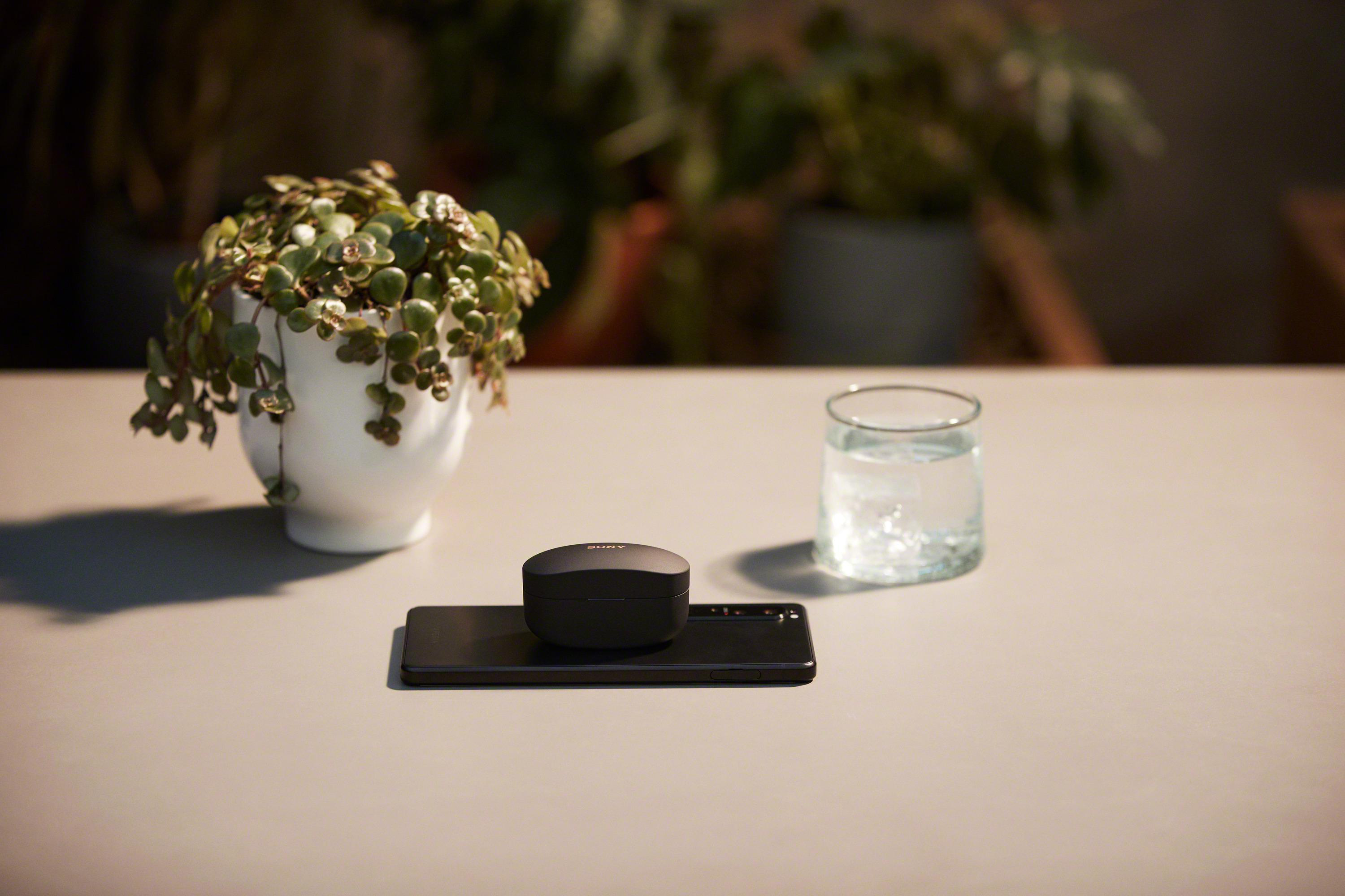 Ein grauer Tisch mit einem weißen Topf mit einer Pflanze, einem Telefon mit Ohrhörern und einem Glas Wasser.
