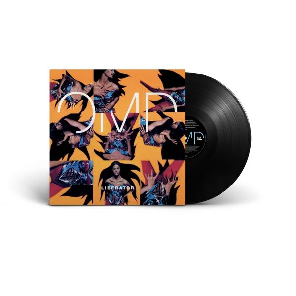 Vinylplatte mit einem Cover, das eine Frau zeigt.