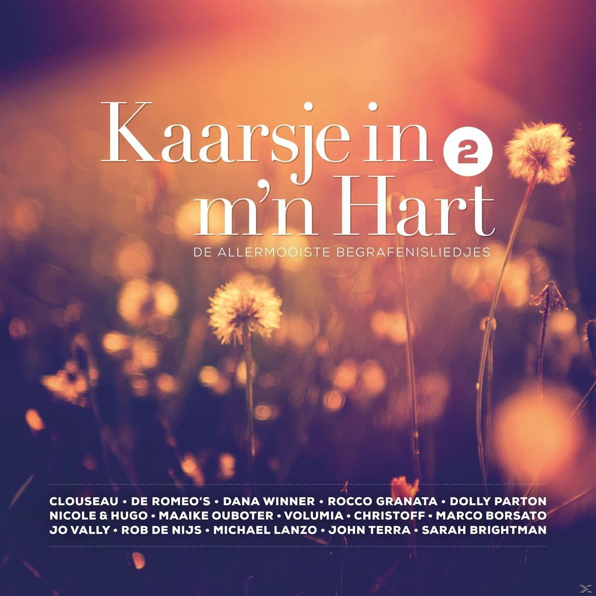Pochette d'album d'une chanson néerlandaise avec des fleurs et un arrière-plan flou.